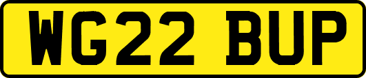 WG22BUP