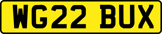 WG22BUX