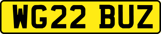 WG22BUZ