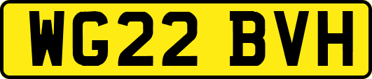 WG22BVH