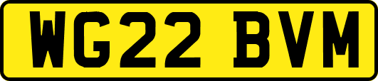 WG22BVM