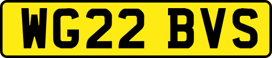 WG22BVS