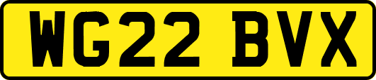 WG22BVX