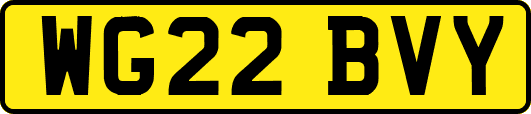 WG22BVY