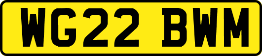 WG22BWM