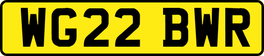 WG22BWR