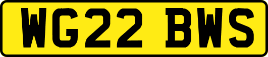 WG22BWS
