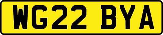 WG22BYA