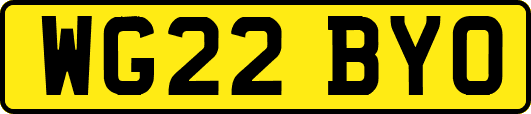 WG22BYO