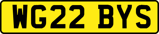 WG22BYS