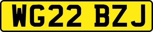 WG22BZJ