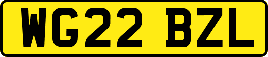 WG22BZL