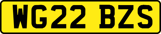 WG22BZS