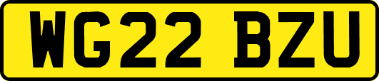WG22BZU