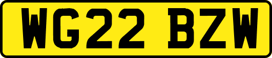 WG22BZW