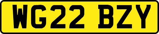WG22BZY