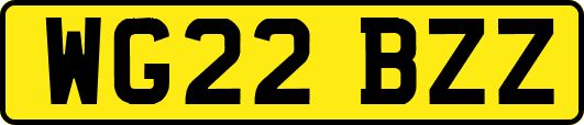 WG22BZZ