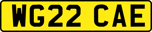 WG22CAE
