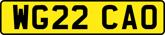 WG22CAO
