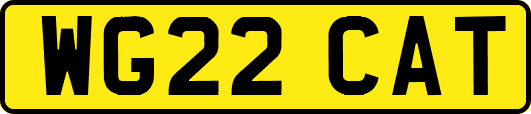 WG22CAT