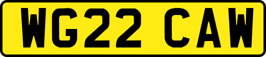 WG22CAW