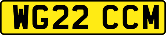 WG22CCM