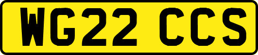 WG22CCS