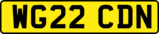 WG22CDN