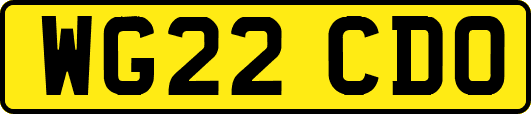 WG22CDO