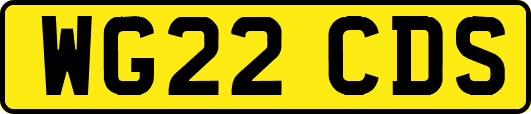 WG22CDS