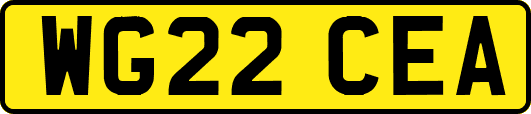 WG22CEA