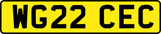 WG22CEC