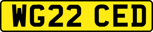 WG22CED