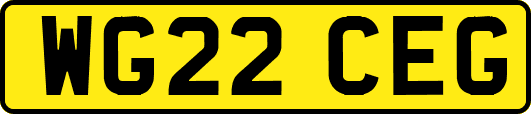WG22CEG