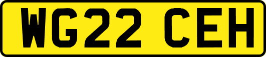 WG22CEH