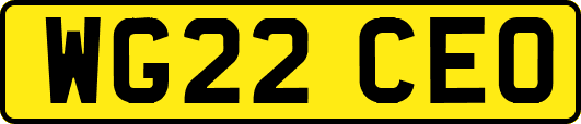 WG22CEO