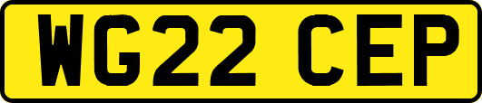 WG22CEP