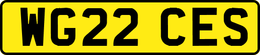 WG22CES