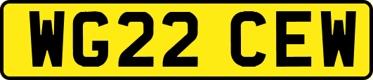WG22CEW