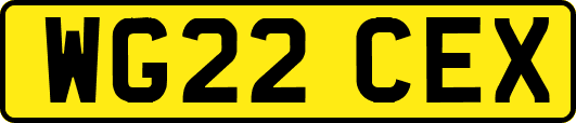WG22CEX