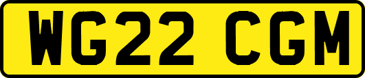 WG22CGM