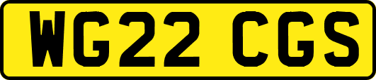 WG22CGS