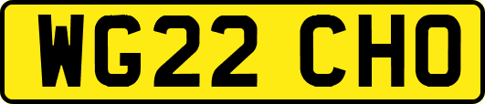WG22CHO