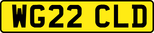 WG22CLD