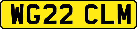 WG22CLM