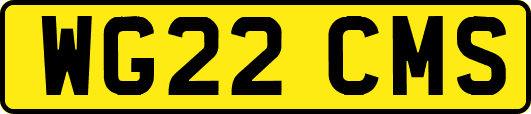 WG22CMS