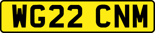WG22CNM