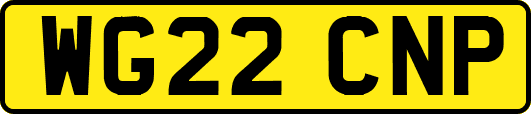 WG22CNP