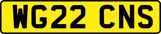 WG22CNS