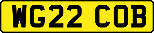 WG22COB